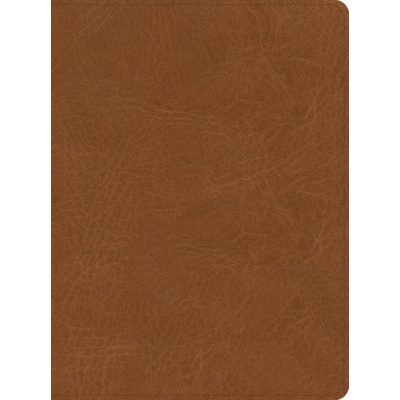 CSB He Reads Truth Bible, Saddle Leathertouch | He Reads Truth, Raechel Myers