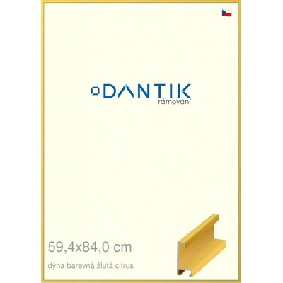 DANTIK rám na obraz 59,4x84 Dýha barevná žlutá citrus