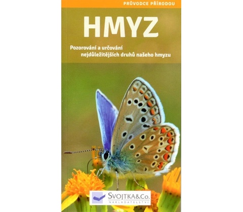 Hmyz