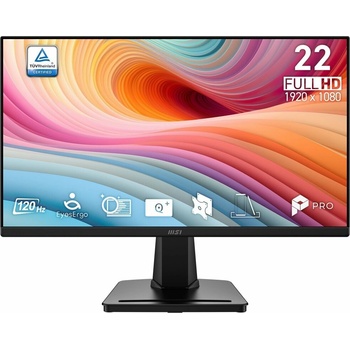 MSI PRO MP225 E12VL