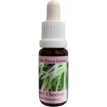 PHI Essences При отчаяние и безизходица - Есенция Сладък кестен, капки 15 ml (30 CLASSIC)