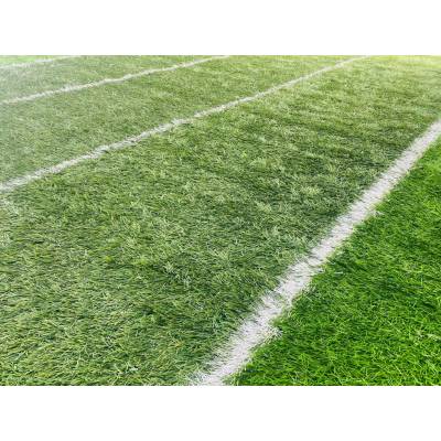Desso grass Sportsgreen 60 4,1 x 4,9 m