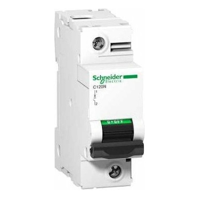 Schneider Electric 1P C 100A 10kA AC C120N A9N18358