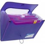 Strigo Briefcase A4 with 12 covers V-file violet STRIGO