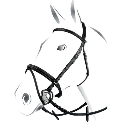 Equestro Uzdečka Deco s anglickým nánosníkom Čierna
