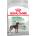 Royal Canin Digestive Care Maxi 12 kg