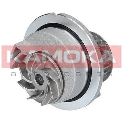 KAM-T0236