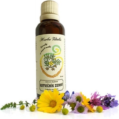 Herba Vitalis Tinktúra z byliny kotvičník zemný 50 ml