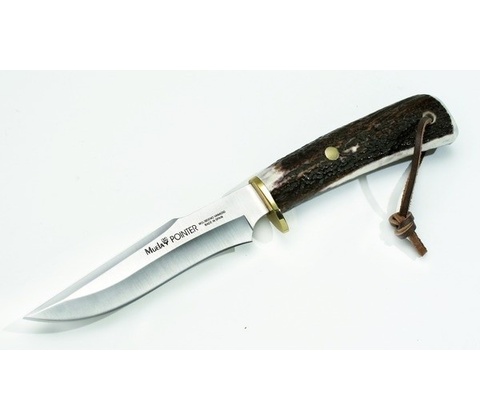 Muela Pointer 13 A