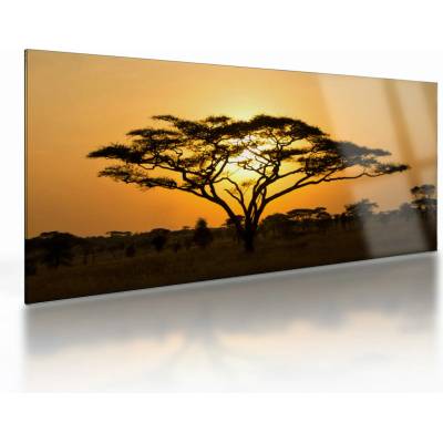 Sklenený obraz - Africká savana, jednodielne 100x50 cm na skle
