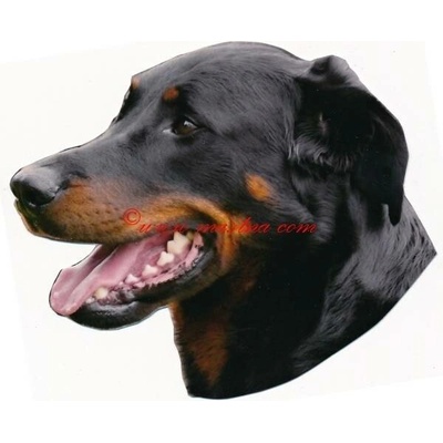 Samolepka beauceron - archiv 472