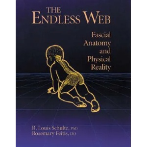 Endless Web | R. Louis Schultz, Rosemary Feitis (ISBN: 9781556432286)
