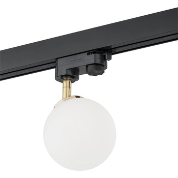 Argon 4307