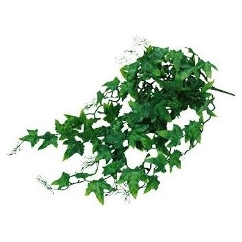 Lucky Reptile Ivy Bush 60 cm