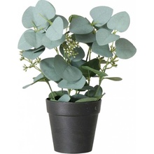 Boltze Home Umělá rostlina SAGE, eukalyptus v květináči, 30 cm barva zelená