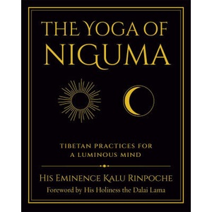 The Yoga of Niguma (ISBN: 9781614299523)