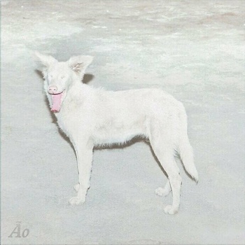 AO - Malandra LP