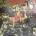 Terrorizer - World Downfall LP