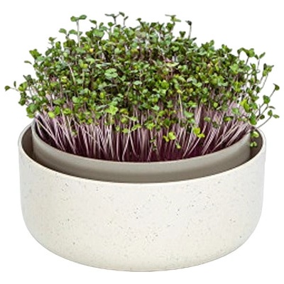Klíčící miska MICROGREENS - slonová kost s kávovou sedlinou