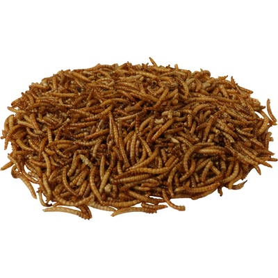 Haff Sušené múčne červy 1 kg