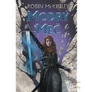 Modrý meč - Robin Modrý meč
