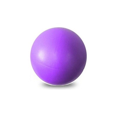 Gymy Lopta Over Ball 25 cm fialová