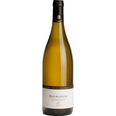 Domaine Alain Chavy Bourgogne Chardonnay 2023 Bílé 13% 0,75 l (holá láhev)
