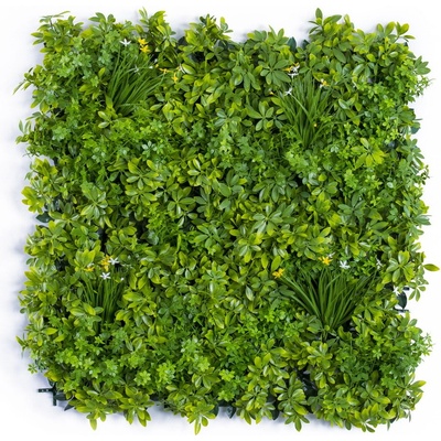 Umelá živá zelená stena SCHEFFLERA, 100 x 100cm
