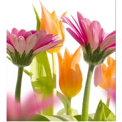 DIMEX ART Флизелинов фототапет пролетни цветя 225 x 250 см