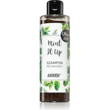 Anwen Mint It Up Peelingový šampon 200 ml