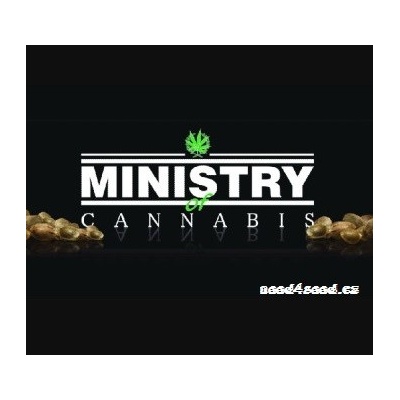 Ministry of Cannabis White Widow semena neobsahují THC 2 ks – Sleviste.cz