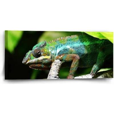 Sablio Obraz Chameleon - 110x50 cm