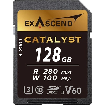 Exascend Catalyst 128GB EX128GSDV60