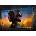 Sony Bravia 5 K-85XR5