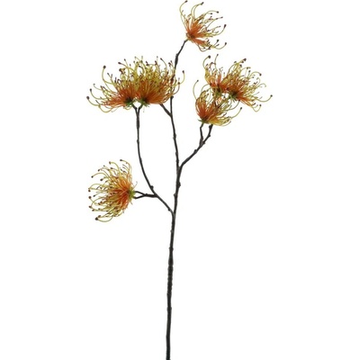 Větev Spider zlutá V70 cm