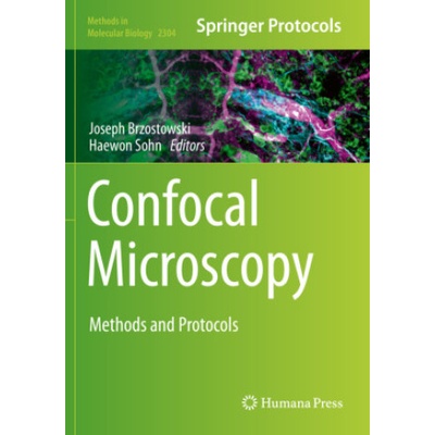 Confocal Microscopy | Joseph Brzostowski, Haewon Sohn