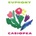 Casiopea: Euphony LTD CD