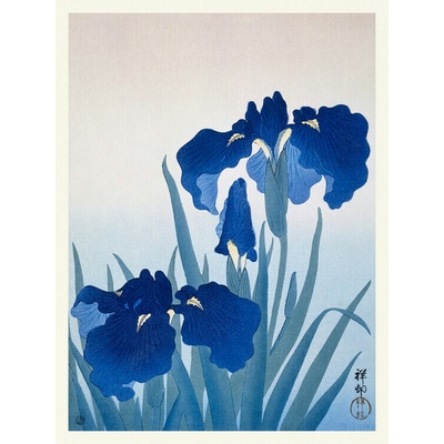Plagát, Obraz - Blue Iris Flowers, Ohara Koson, 30 × 40 cm