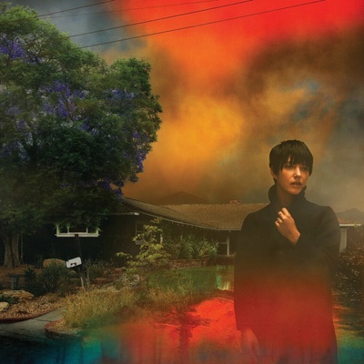 We've Been Going About This All Wrong - Sharon Van Etten LP