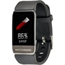 Watchmark WT1
