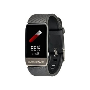 Watchmark WT1