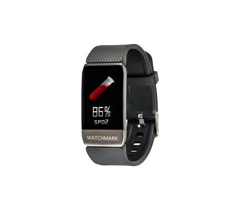 Watchmark WT1