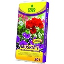 Agro CS PRIMAFLORA Substrát na muškáty a balkón.kvety 20 l