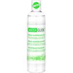 WATERGLIDE Лубрикант "water glide fruity watermelon" 300 мл. ар. Диня
