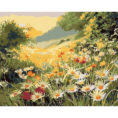 Zuty Malování podle čísel Letní louka 100 x 80 cm bez rámu a bez vypnutí plátna 8596530003342