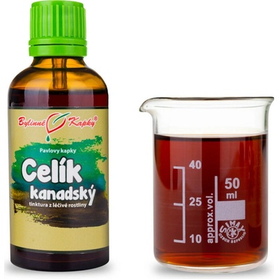 Bylinné kapky Celík zlatobyľ kanadský bylinné kvapky tinktúra 50 ml