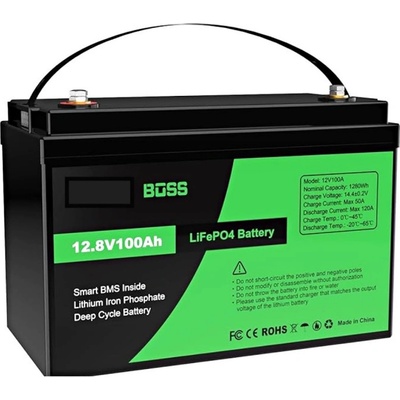 LiFePo4 12,8V 100Ah Green Boss – Zboží Živě