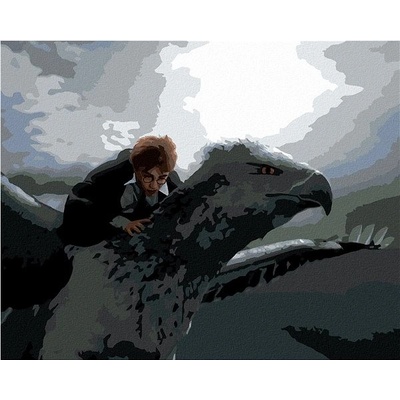 zuty Malování Podle Čísel Harry Potter Letící Na Klofanovi 40 x 50 Cm Plátno Rám