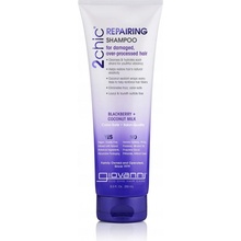 Giovanni Repairing Shampoo 250 ml