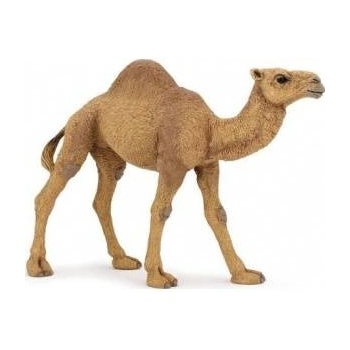 Papo Dromedary